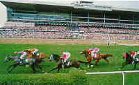 wood race track of toronto.tif (76014 bytes)
