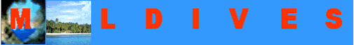 banner1.gif (22088 bytes)