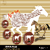 Graphic Designing Sample