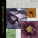 graphic designing courses using Photoshop at  mumbai (grant road & Bandra)